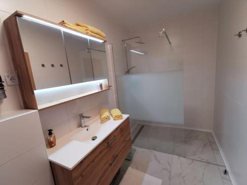 La salle de bains est pourvue d'un lavabo, d'une douche et d'un miroir. dans l'établissement Apartman PIKY No.10, à Moravske Toplice
