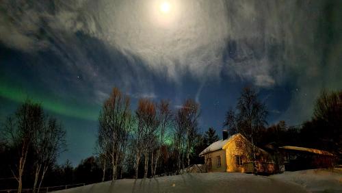 an image of the aurora in the sky over a house at Cabin magic on Senja, atmosphere like a fairytale in Botnhamn