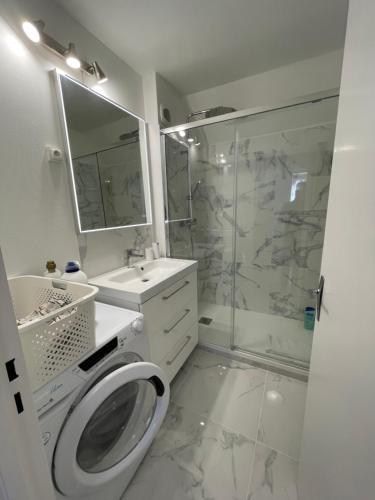 une salle de bain avec douche et machine à laver dans l'établissement Appartement tout confort!, à Chartres