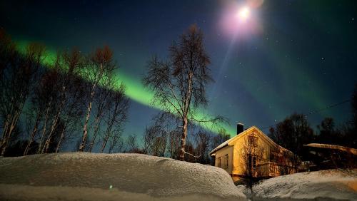 Cabin magic on Senja, atmosphere like a fairytale