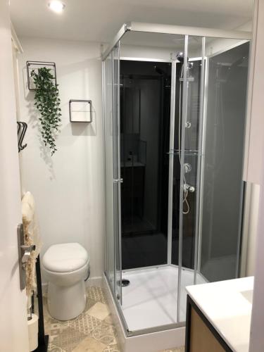 une salle de bain avec douche et toilettes dans l'établissement Les Badalans, à Loudenvielle