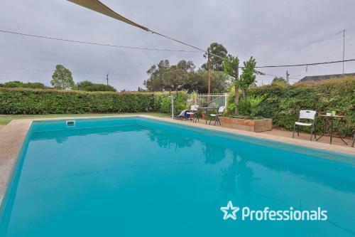 Πισίνα στο ή κοντά στο Vineland Motel Mildura