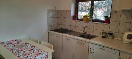 Kuchyň nebo kuchyňský kout v ubytování Apartment Ema