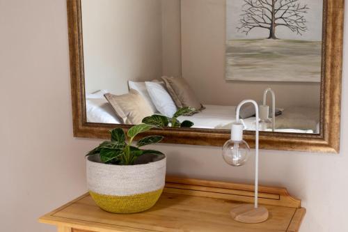 a bedroom with a mirror and a potted plant on a table at Amande Guesthouse in Moorreesburg