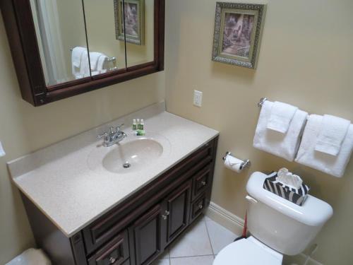 a bathroom with a sink and a toilet and a mirror at Chipman Hill Suites - Union Street in Saint John