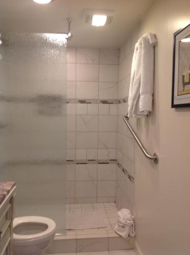 a bathroom with a shower and a toilet at Iron Horse Inn in Cottonwood