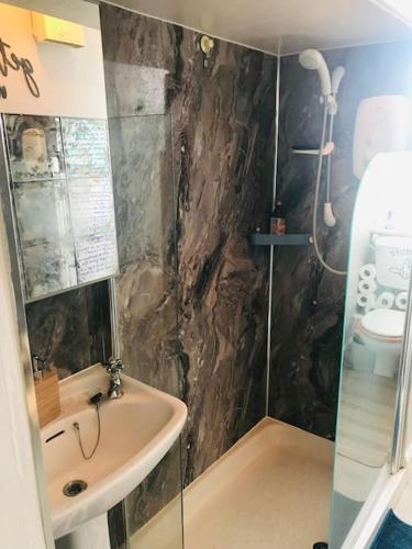a bathroom with a shower and a sink and a toilet at Cosy 2 Bedroom Flat in Edinburgh in Edinburgh
