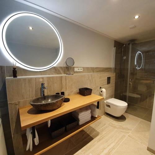 a bathroom with a sink and a mirror and a toilet at Enjoy Heuvelland in Simpelveld