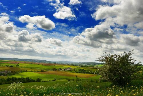 a view of a green field with a cloudy sky at Enjoy Heuvelland in Simpelveld