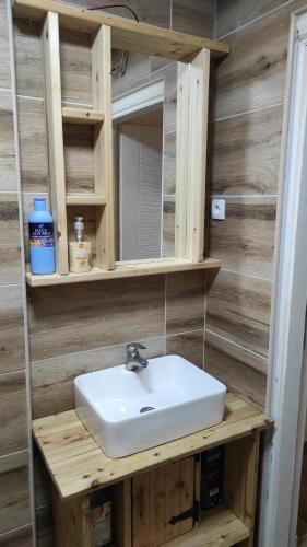 y baño con lavabo y espejo. en Homoljski pogled Banja Zdrelo, en Ždrelo