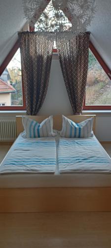 a bed with two pillows in front of a window at Winzerhaus Rissweg 15 in Dresden