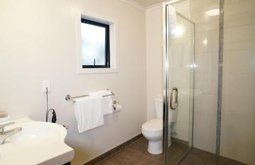 a bathroom with a toilet and a glass shower at Brooklyn Motor Lodge in Hamilton