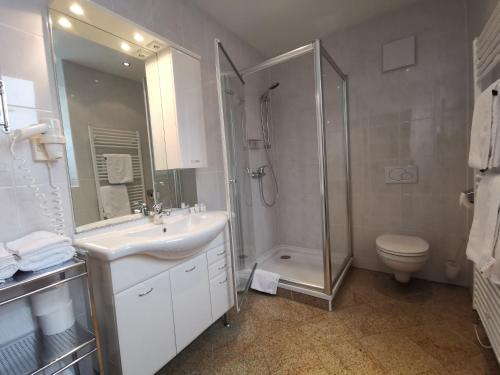 a bathroom with a shower and a sink and a toilet at Gasthof zum Hirschen in Altaussee