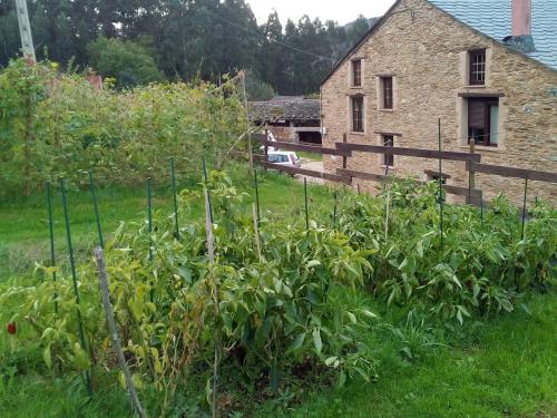 Galería fotográfica de Casa o Furco en Foz