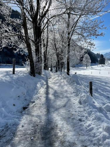 a snow covered path with trees in a field at Appartements Marlene in Maishofen