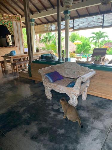 a cat standing next to a table in a room at Villa Anjing in Nusa Dua