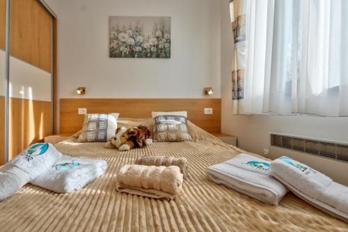 Apartman Dar – Photos 4