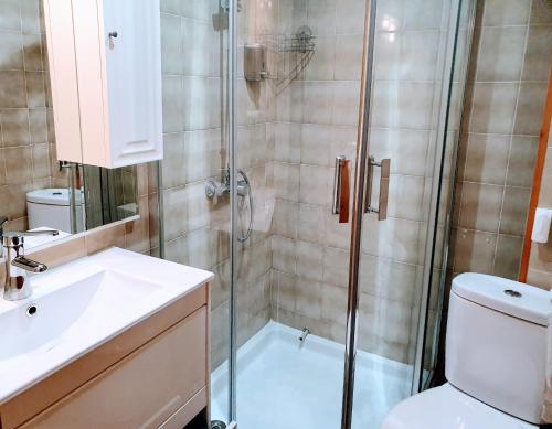 uma casa de banho com um chuveiro, um WC e um lavatório. em Iberos Jaén em Jaén