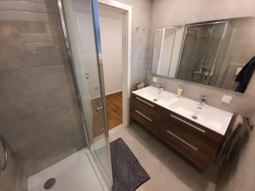 a bathroom with a shower and a sink and a mirror at Handwerkerwohnung - Monteurunterkunft in Crumstadt