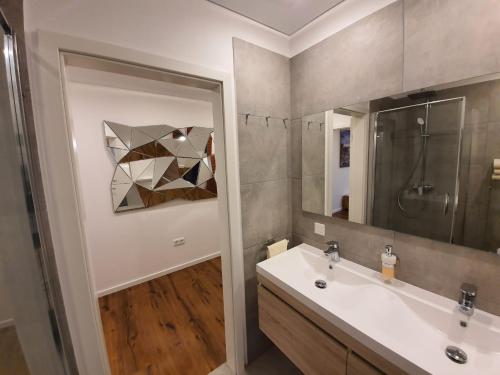 a bathroom with a sink and a shower and a mirror at Handwerkerwohnung - Monteurunterkunft in Crumstadt