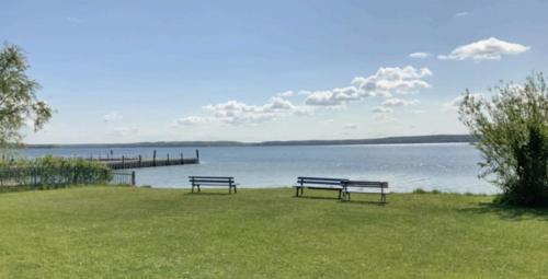 two benches sitting in the grass near a body of water at Ferienhäuser mit Seeblick direkt am Plauer See in Plau am See