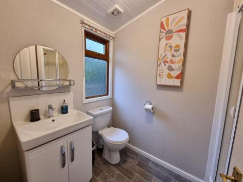 ein Badezimmer mit einem WC, einem Waschbecken und einem Spiegel in der Unterkunft Troutbeck 12 in Windermere