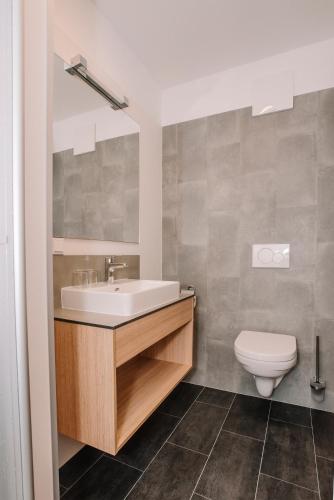 a bathroom with a sink and a toilet at Gasthof Haidbach in Mittersill