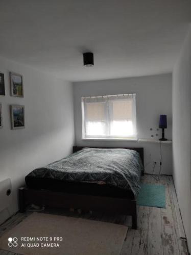 sypialnia z łóżkiem i oknem w obiekcie Apartament u Bena w mieście Kacwin
