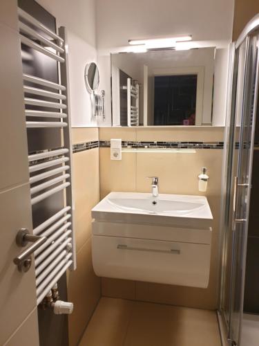 ein Bad mit einem Waschbecken und einem Spiegel in der Unterkunft Ferienwohnung am Rathaus in Tangermünde
