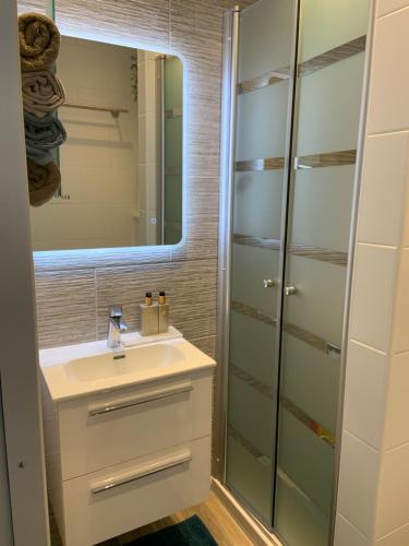 a bathroom with a sink and a mirror at SanthooftB 0905 in Nieuwpoort