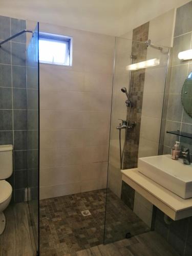 a bathroom with a shower and a sink and a toilet at Résidence Le Dattier, 3 bedrooms apartment, Flic en Flac in Flic-en-Flac