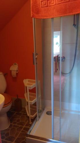 a bathroom with a shower and a toilet at Organistowka in Bircza