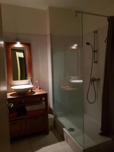 La salle de bains est pourvue d'une douche en verre et d'un lavabo. dans l'établissement Appartement T2 Très bon standing vue mer, à Sainte-Clotilde
