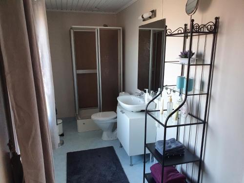 a bathroom with a toilet and a sink at Bergsmansgårdens Gästhus in Asphyttan