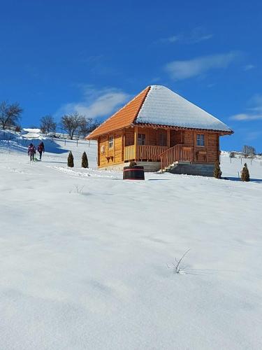 a log cabin in the snow with people in front at Etno domacinstvo Uvacki konaci in Nova Varoš
