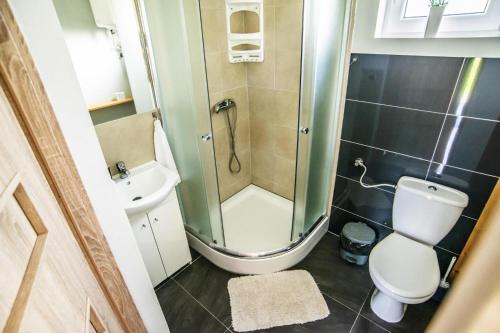 レバルにあるCottage in Rewal near Baltic Sea Beachのシャワーとトイレ付きの小さなバスルーム