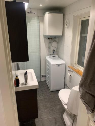małą łazienkę z toaletą i umywalką w obiekcie Backes Lillstuga w mieście Borlänge