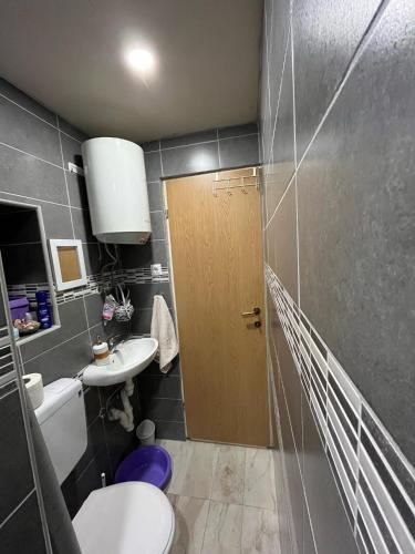 Koupelna v ubytování Apartman Sofranac