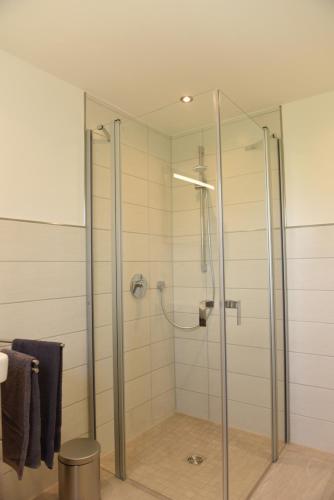 a shower with a glass door in a bathroom at Haus Toni in Sankt Goar