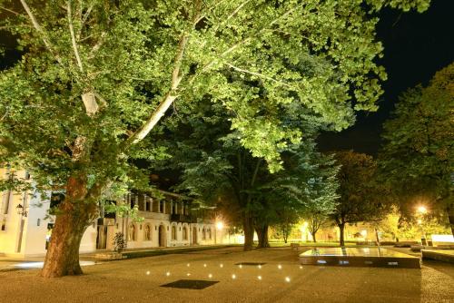 a park at night with trees and lights at The Nest Boutique in Baia Mare