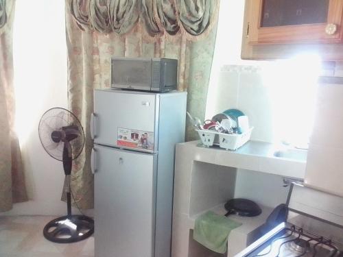Un microondas encima de un refrigerador en una cocina. en Canadian Standard Villa Guesthouse, en Montego Bay