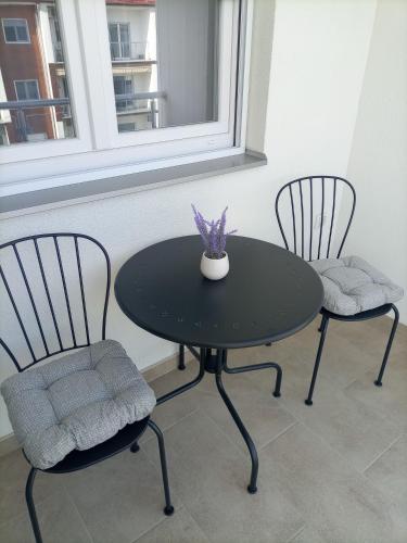 a black table with two chairs and a vase on it at Lena in Banja Koviljača
