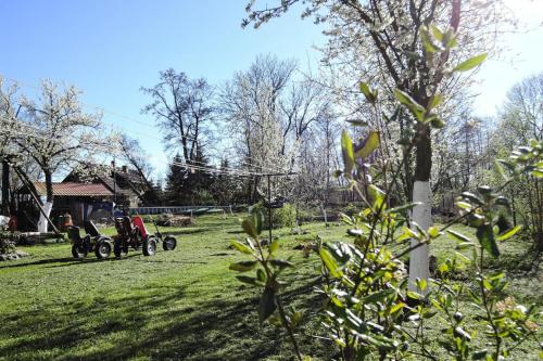 Billede fra billedgalleriet på Holiday home Stepniczka i Stepnica