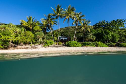 a view of a beach with palm trees at Fitzroy Island Resort in Fitzroy Island