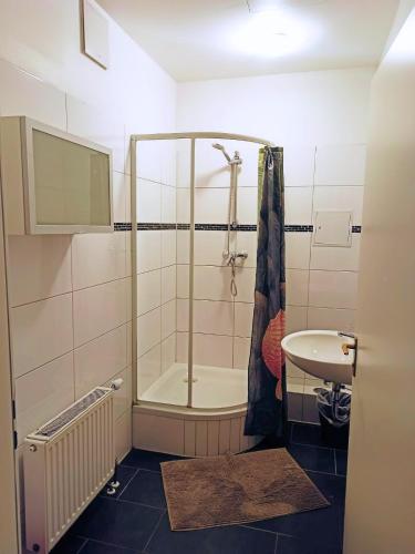 a bathroom with a shower and a sink at Puschkin Rooms in Berlin