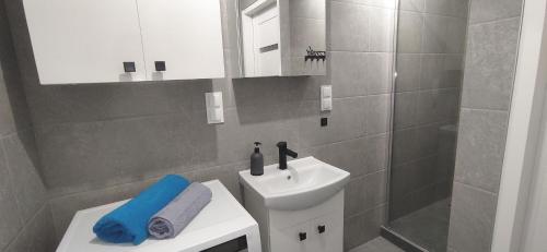 Apartament przy Parku tesisinde bir banyo