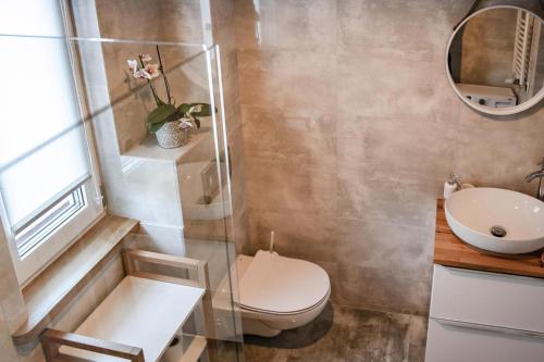 een badkamer met toilet en wastafel bij Comfortable holiday home with a private garden in Debina
