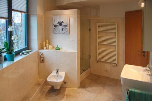 a bathroom with a toilet and a shower and a sink at Holiday flat im Wasserturm Güstrow - DMS01100b-P in Güstrow