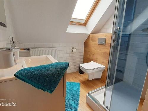 une salle de bain avec douche, lavabo et toilettes dans l'établissement Holiday Home in Mielno near Beach & Lake, à Mielenko