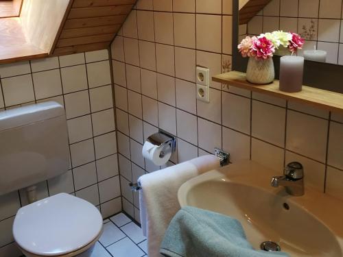 ein Bad mit einem WC und einem Waschbecken in der Unterkunft Ferienwohnung Glashütte in Sankt Märgen
